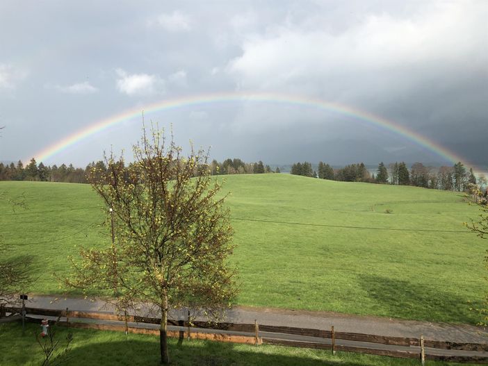 Regenbogen