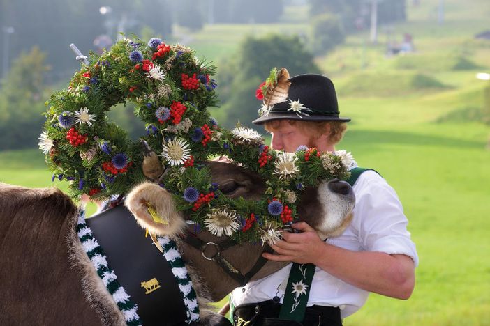 Viehscheid Nesselwang