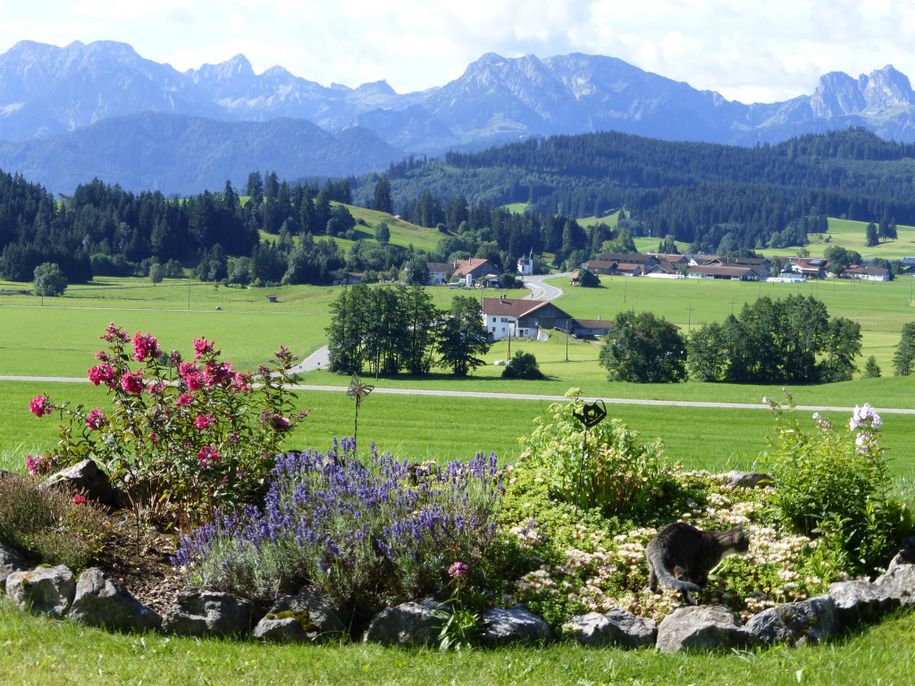 Ausblick von unserem Haus