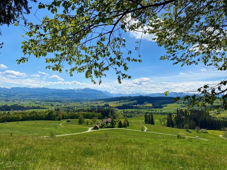 Ausblick auf grüne Wiesen