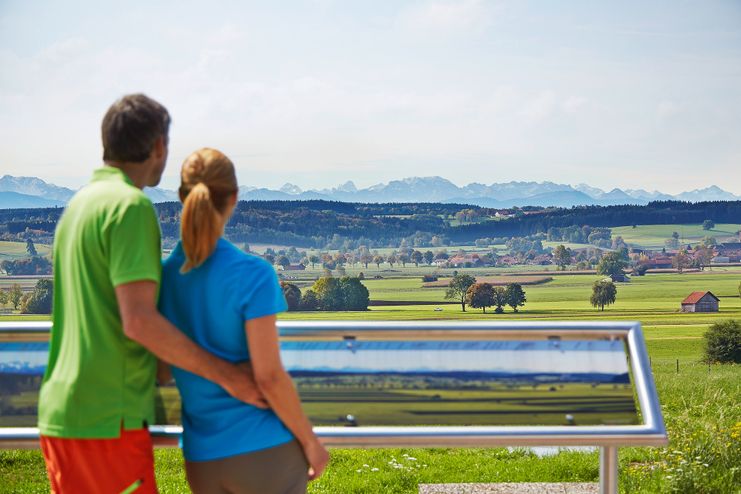 Alpenblick von Hartenthal aus