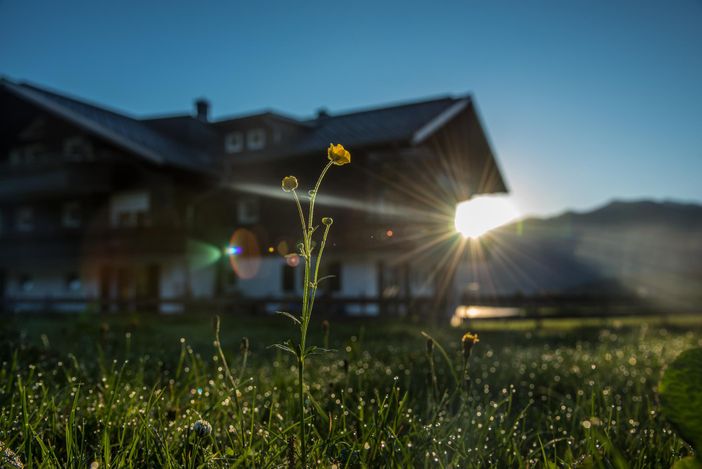 Sonnenaufgang am Alpenhaus Steiner