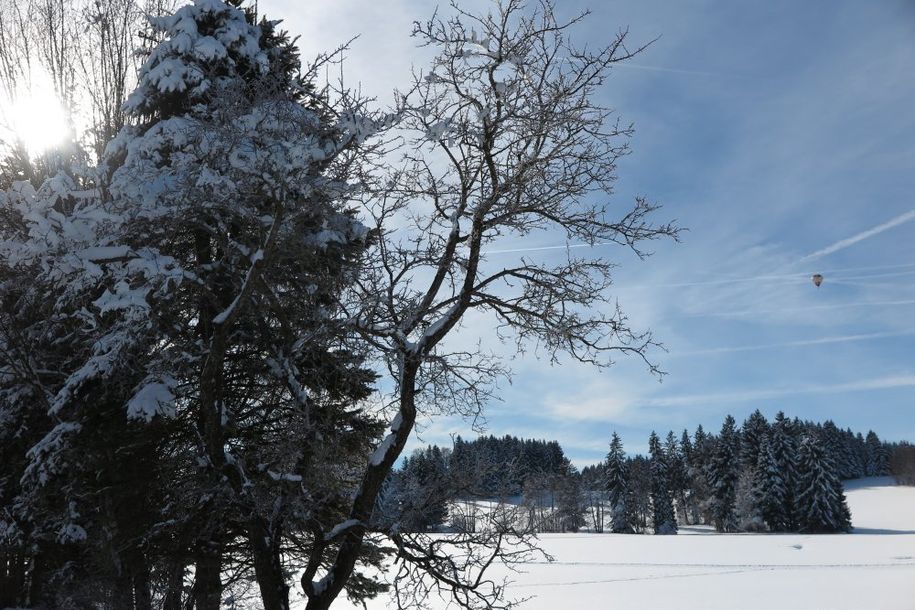 Märchenlandschaft am Kittelhof