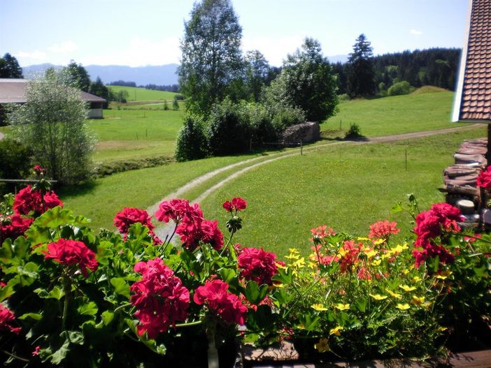 Blick vom Balkon