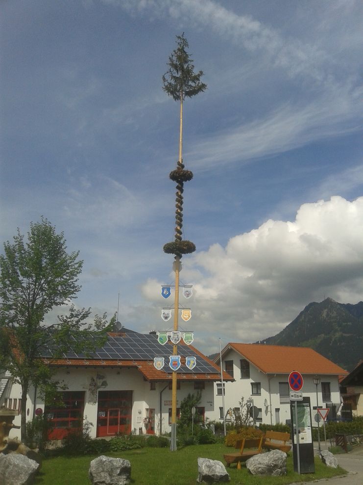 Maibaum2_Bihlerdorf2016-Manz