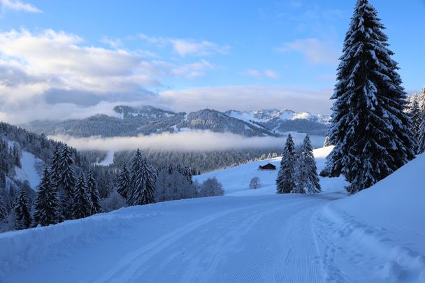 Von Balderschwang auf den Heidenkopf