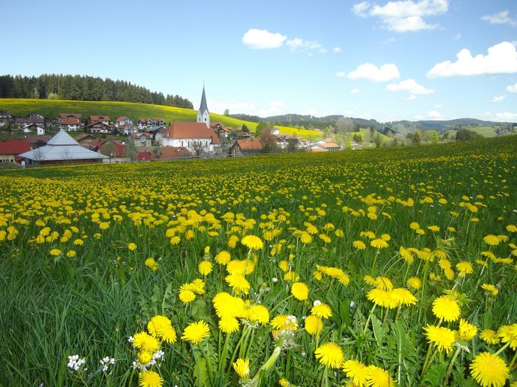 Blick auf Stiefenhofen