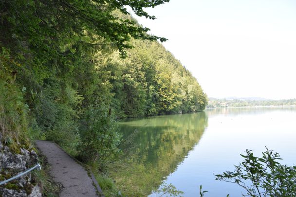 Weißensee-Rundweg