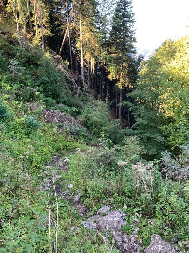 Teilweise steiler Pfad zur Burgruine Falkenstein