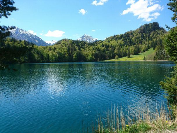 Alatsee im Frühling