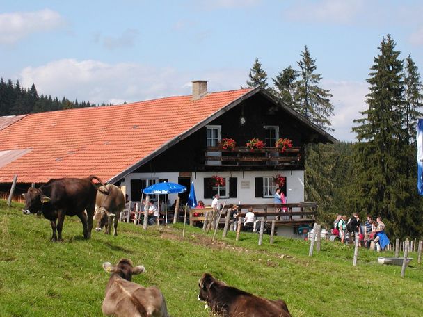 Vordere Kölle Alpe