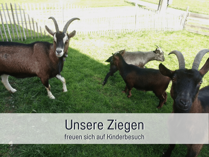 Ziegen