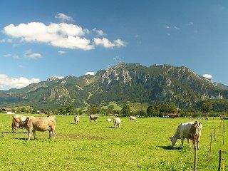 Unser Panorama im Sommer