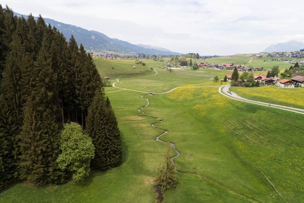 Blick auf die Rieder Wiesen