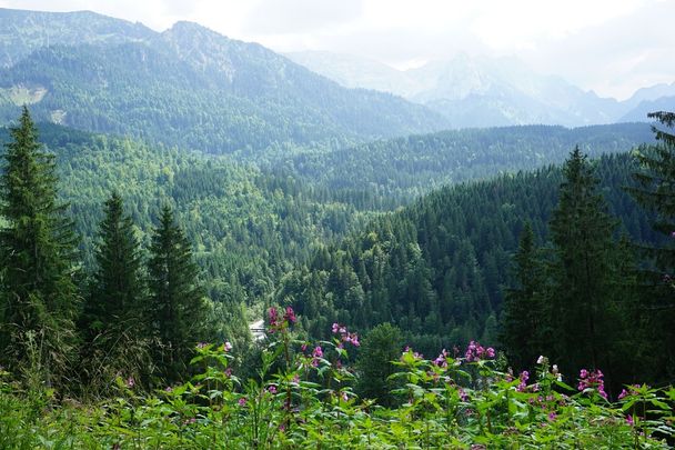 Allgäuer Königsalpenroute - Etappe 7: Halblech-Kenzenhütte