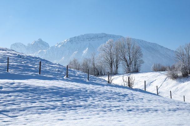 Blick auf den Breitenberg und den Gipfel des Aggensteins