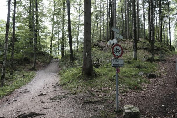 Abzweig von der Fürstenstraße zum Alpsee-Rundweg