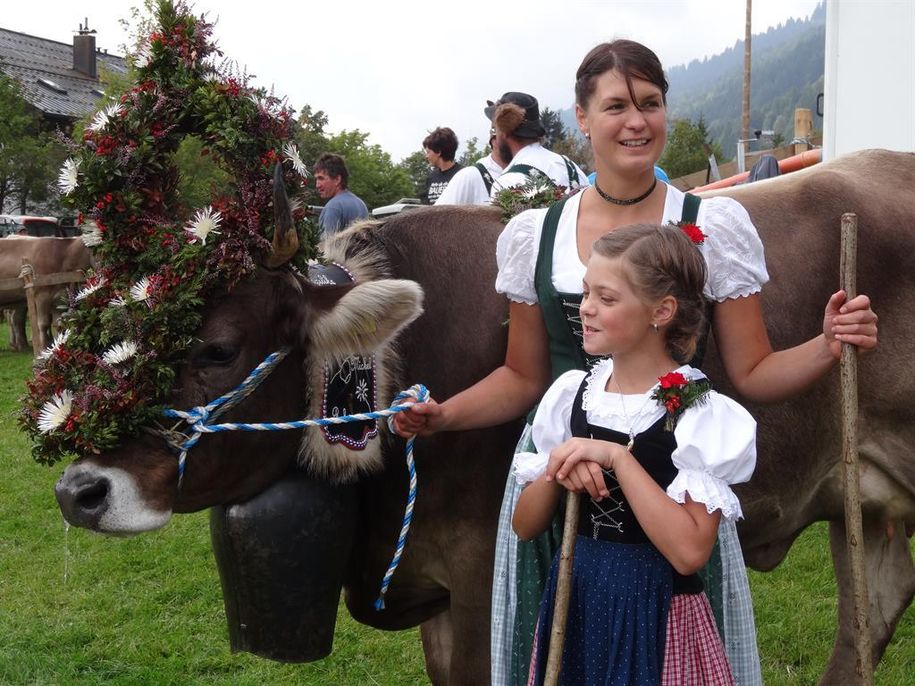 Wunderschönes Kranzrind_Alpe_Schwarzenberg