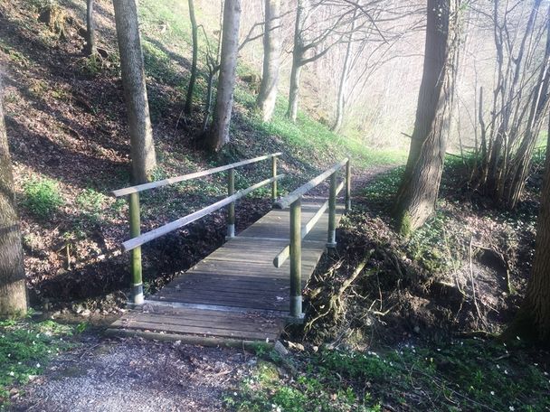 Brücke Stausee