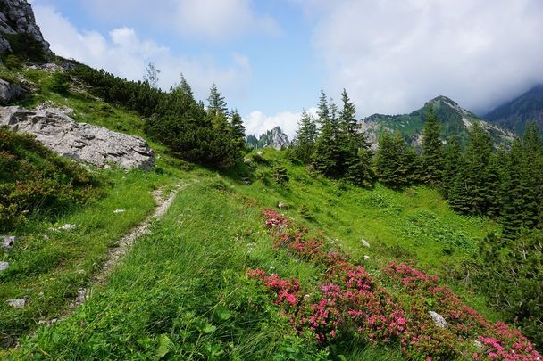 Allgäuer Königsalpenroute - Etappe 8: Kenzenhütte-Tegelberghaus/Schwangau