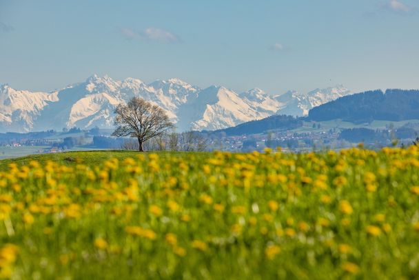 Alpenpanorama am Kornhofer Bänkle