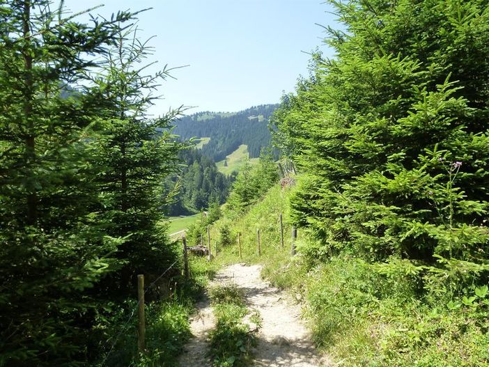 Wanderweg ins Bolgental