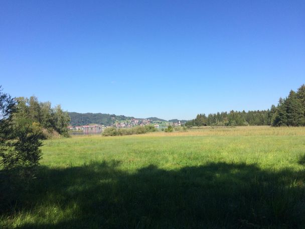 Blick auf Hopfen am See vom südlichen Ufer