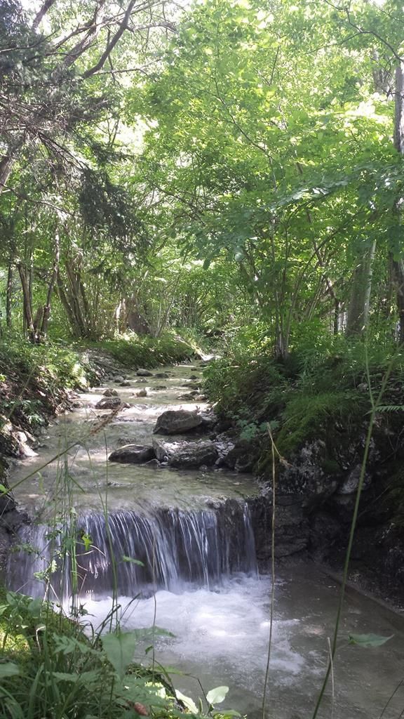 Pure Natur -- Mühlberger Ach