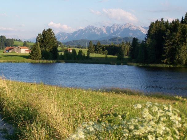 Luimooser Weiher bei Rückholz