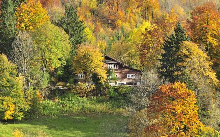 Haus Bürgle im Herbst