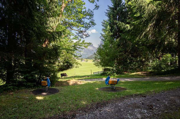 Spielplatz auf der Spöck - Obermaiselstein