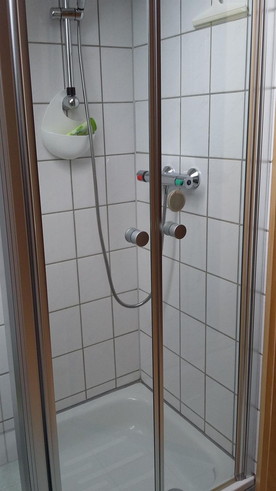 Kleine Wohnung: Badezimmer, Dusche