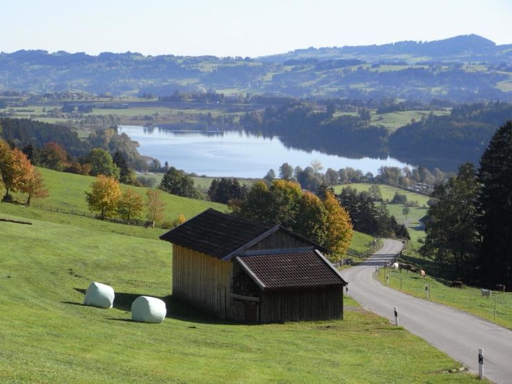 Der Niedersonthofener See