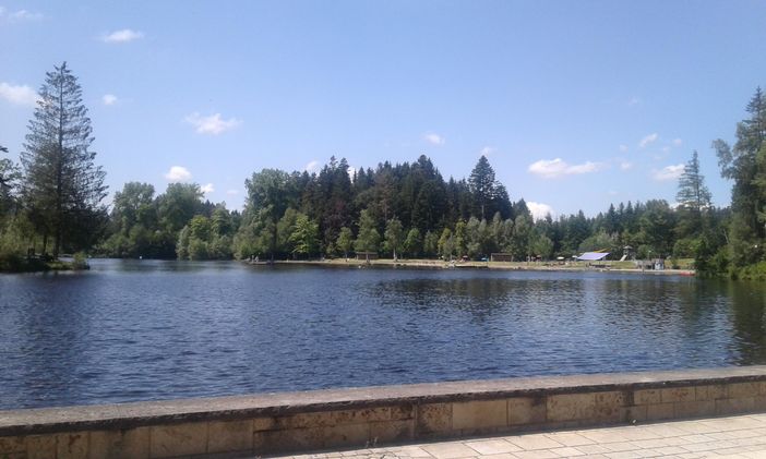 Waldsee bei Lindenberg