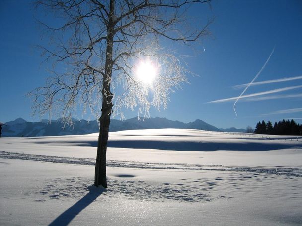 Winterwanderung zur Wittelsbacher Höhe bei Ofterschwang