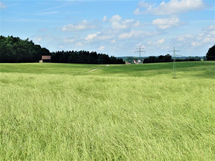 Viel grün um unseren Hof herum