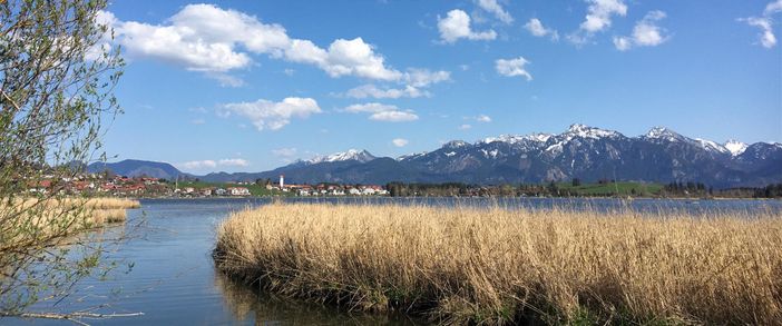 Spaziergang um den Hopfensee