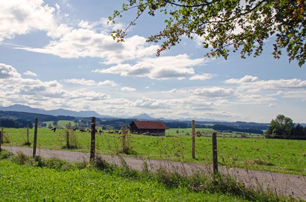 Wanderweg auf der Buchel