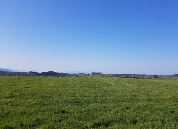 Blick bis in die Schweizer Alpen