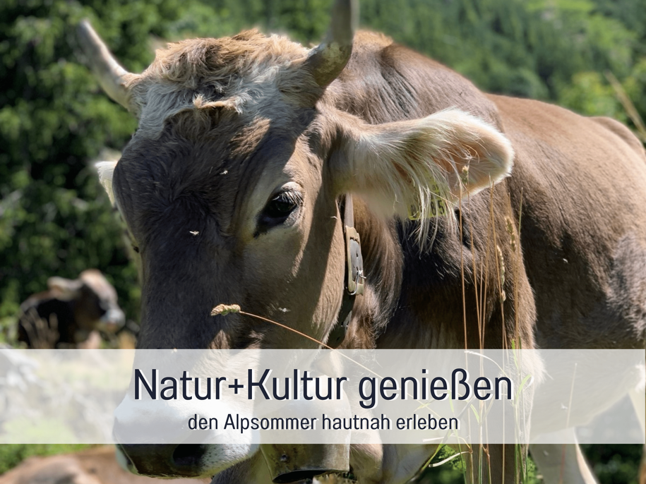 Natur und Kultur