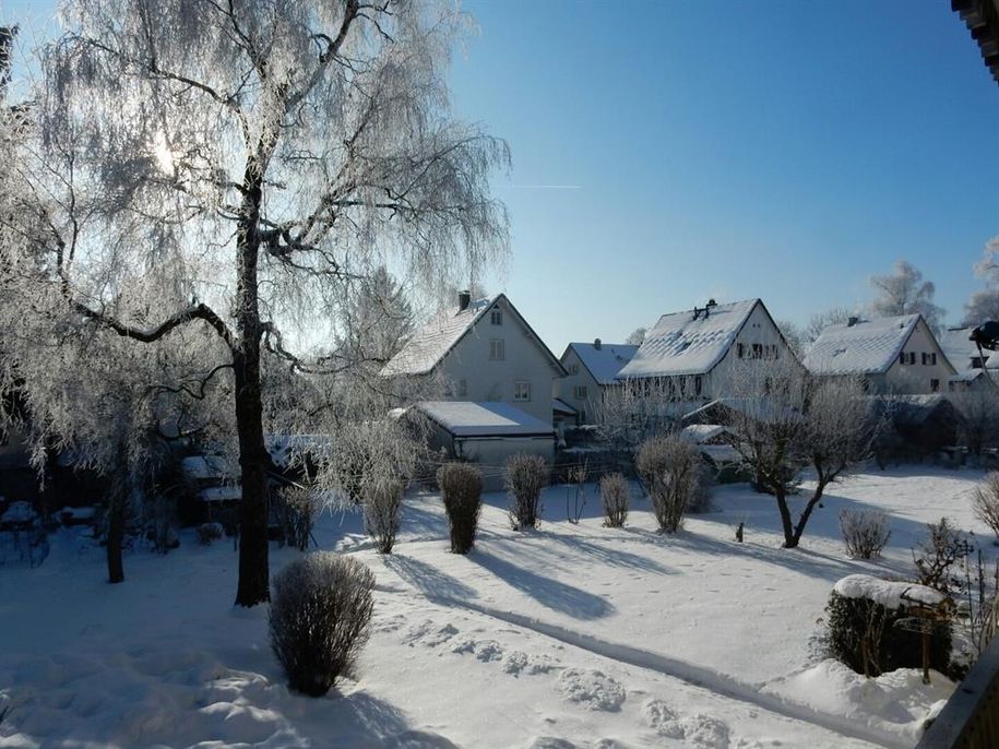 Unser Garten im Winter