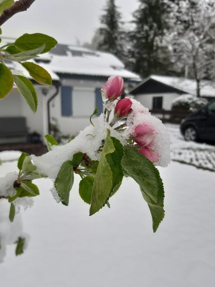 Winter und Frühling