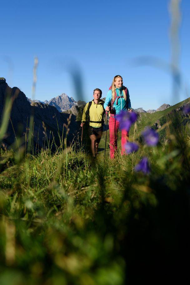 Genießen Sie die herrliche Bergwelt