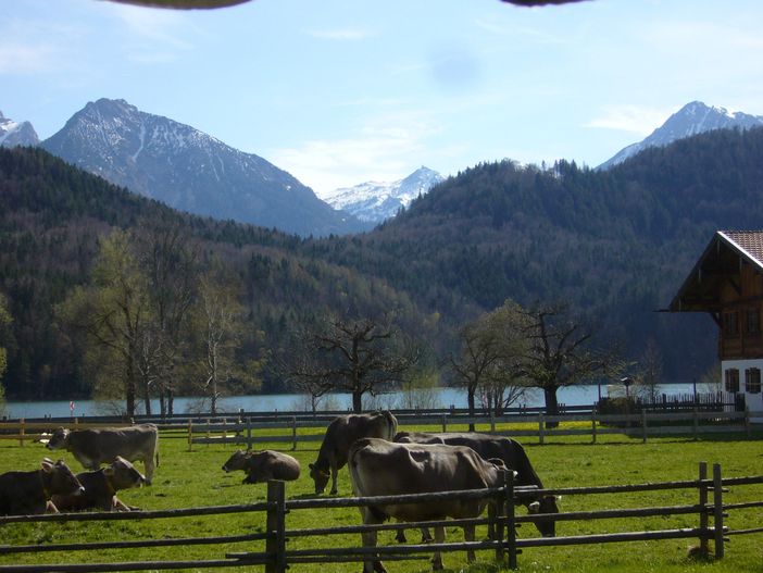 unsere ländlichen Nachbarn....