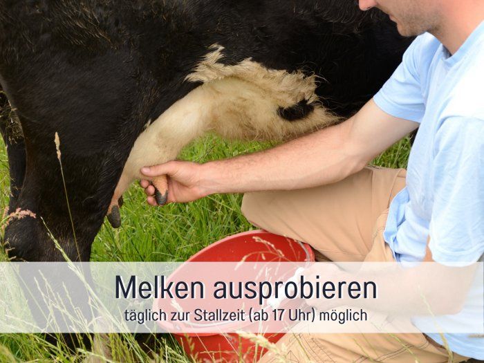 melken-ausprobieren