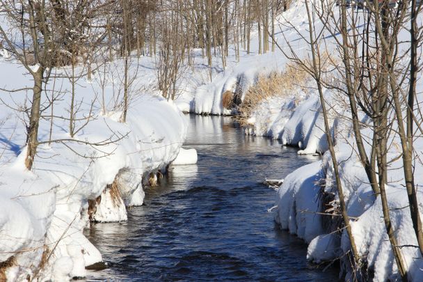 Winterwanderweg "Berger Moos Runde"