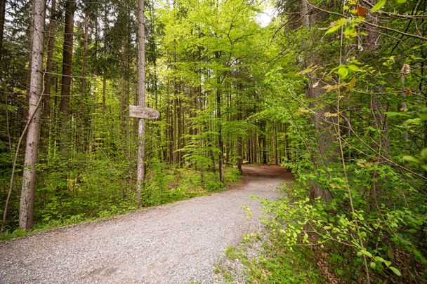 Waldbaden in Fischen im Allgäu