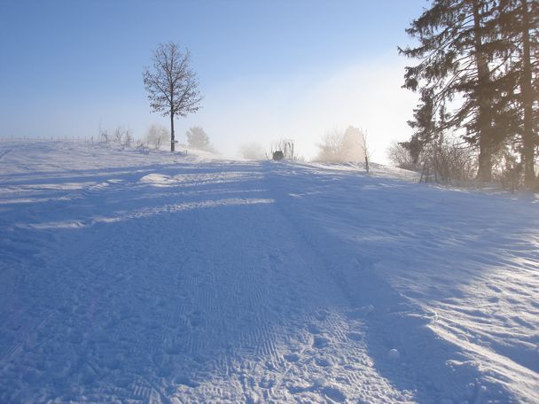 Winterlandschaft am Hanusel Winterwanderweg (3)