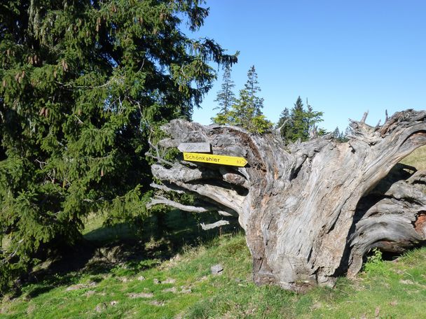 Wegweiser zum Schönkahler