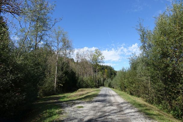 Illerradweg in Richtung Sonthofen